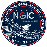 National Gang Intelligence Center 